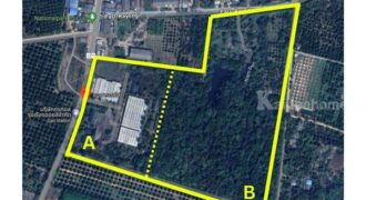 ขายโรงงาน และ สวนป่าเบญพรรณ อายุ 25 ปี อ.เขาชะเมา จ.ระยอง ราคาพิเศษ โทร 095-2601140