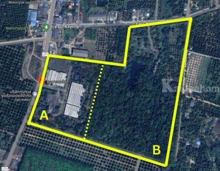 ขายโรงงาน และ สวนป่าเบญพรรณ อายุ 25 ปี อ.เขาชะเมา จ.ระยอง ราคาพิเศษ โทร 095-2601140