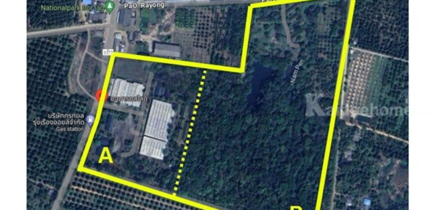 ขายโรงงาน และ สวนป่าเบญพรรณ อายุ 25 ปี อ.เขาชะเมา จ.ระยอง ราคาพิเศษ โทร 095-2601140