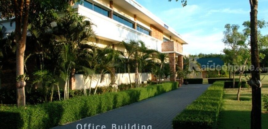 ขายโรงงาน และ สวนป่าเบญพรรณ อายุ 25 ปี อ.เขาชะเมา จ.ระยอง ราคาพิเศษ โทร 095-2601140