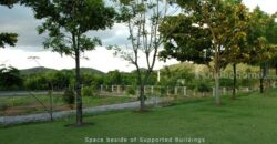 ขายโรงงาน และ สวนป่าเบญพรรณ อายุ 25 ปี อ.เขาชะเมา จ.ระยอง ราคาพิเศษ โทร 095-2601140