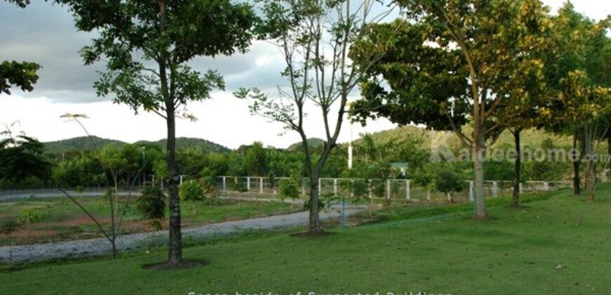 ขายโรงงาน และ สวนป่าเบญพรรณ อายุ 25 ปี อ.เขาชะเมา จ.ระยอง ราคาพิเศษ โทร 095-2601140