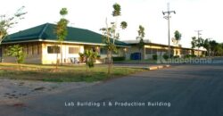 ขายโรงงาน และ สวนป่าเบญพรรณ อายุ 25 ปี อ.เขาชะเมา จ.ระยอง ราคาพิเศษ โทร 095-2601140