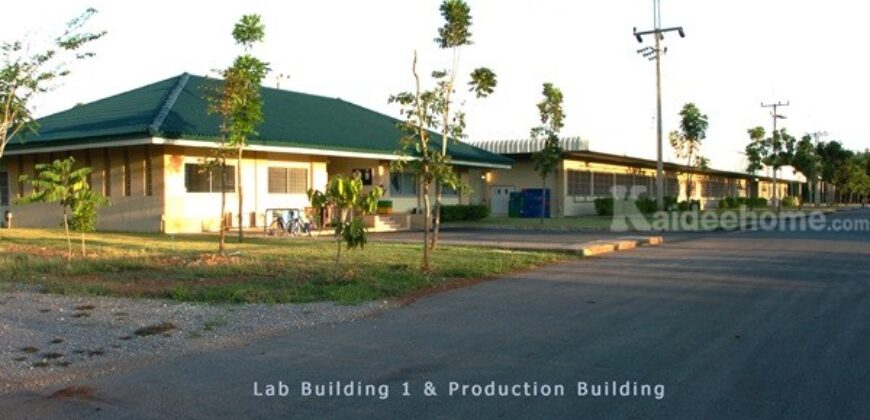 ขายโรงงาน และ สวนป่าเบญพรรณ อายุ 25 ปี อ.เขาชะเมา จ.ระยอง ราคาพิเศษ โทร 095-2601140