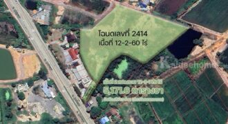 ขายที่ดิน แปลงสวย พนัสนิคม ชลบุรี ติดถนน 3 ด้าน 12-3-71 ไร่ ทำเลทอง ศุขประยูร-พนัสนิคม โทร 0818213624