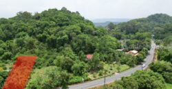 ขายที่ดินติดถนนหลวง เนื้อที่ 142 ตารางวา สาริกา นครนายก