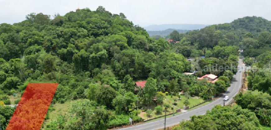 ขายที่ดินติดถนนหลวง เนื้อที่ 142 ตารางวา สาริกา นครนายก