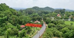ขายที่ดินติดถนนหลวง เนื้อที่ 142 ตารางวา สาริกา นครนายก
