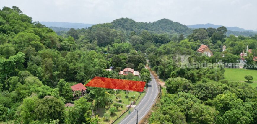 ขายที่ดินติดถนนหลวง เนื้อที่ 142 ตารางวา สาริกา นครนายก