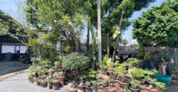 โกดังสินค้า โรงงานแปรรูปไม้ ซอยลำโพ 49 บางบัวทอง นนทบุรี