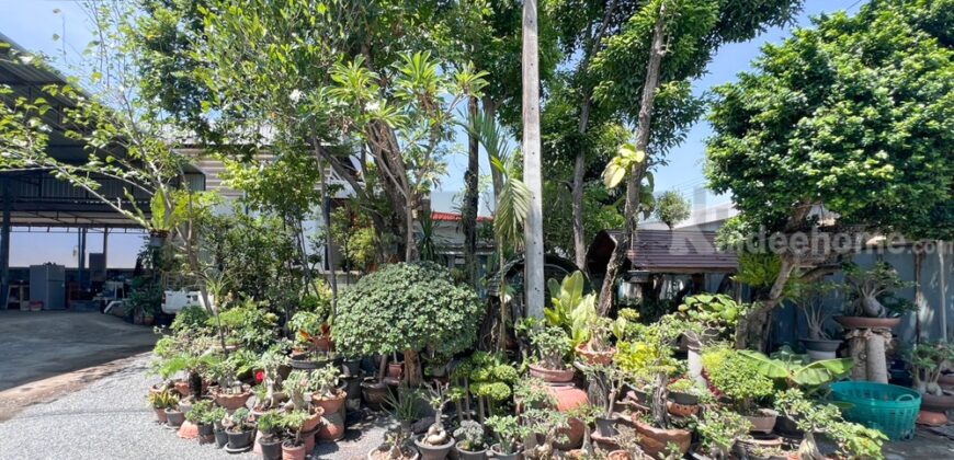โกดังสินค้า โรงงานแปรรูปไม้ ซอยลำโพ 49 บางบัวทอง นนทบุรี