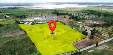 ที่ดินสวยราคาดี โนนสัง หนองบัวลำภู พื้นที่ 43-2-18 ไร่