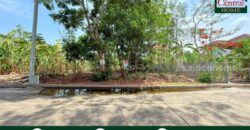 ที่ดินถมแล้ว หมู่บ้าน ชัยพฤกษ์ วงแหวน – รัตนาธิเบศร์ ซอยวัดลาดปลาดุก ราคาถูก