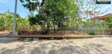 ที่ดินถมแล้ว หมู่บ้าน ชัยพฤกษ์ วงแหวน – รัตนาธิเบศร์ ซอยวัดลาดปลาดุก ราคาถูก