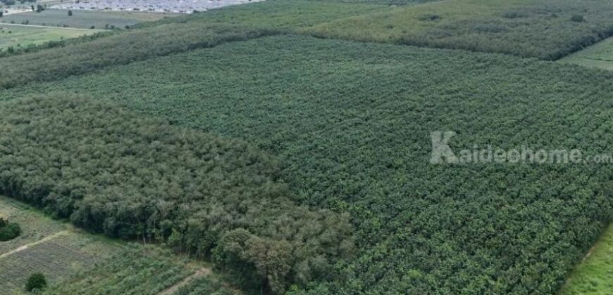 ที่ดินสวย ทำเลศักยภาพ EEC นิคมพัฒนา ระยอง 139-1-62 ไร่