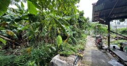 ที่ดิน 80.6 ตร.ว. ซอยจรัญสนิทวงศ์ 3 (ซอยสมชาย) ที่ริมคลอง ราคาถูกมาก