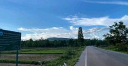 ที่ดินสวยราคาดี โนนสัง หนองบัวลำภู พื้นที่ 43-2-18 ไร่