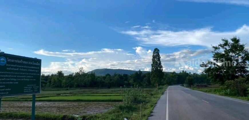 ที่ดินสวยราคาดี โนนสัง หนองบัวลำภู พื้นที่ 43-2-18 ไร่