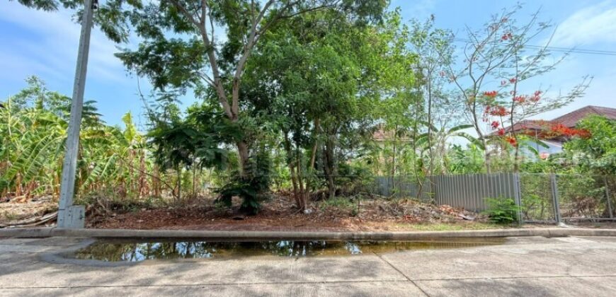ที่ดินถมแล้ว หมู่บ้าน ชัยพฤกษ์ วงแหวน – รัตนาธิเบศร์ ซอยวัดลาดปลาดุก ราคาถูก