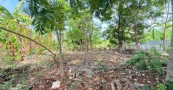 ที่ดินถมแล้ว หมู่บ้าน ชัยพฤกษ์ วงแหวน – รัตนาธิเบศร์ ซอยวัดลาดปลาดุก ราคาถูก