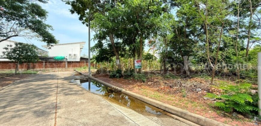 ที่ดินถมแล้ว หมู่บ้าน ชัยพฤกษ์ วงแหวน – รัตนาธิเบศร์ ซอยวัดลาดปลาดุก ราคาถูก
