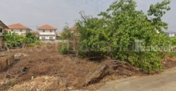 ที่ดินเปล่า 132 ตร.วา ซอยวัดลาดปลาดุก บางบัวทอง แปลงมุม