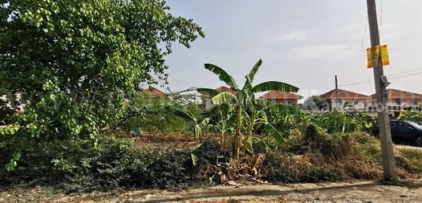 ที่ดินเปล่า 132 ตร.วา ซอยวัดลาดปลาดุก บางบัวทอง แปลงมุม