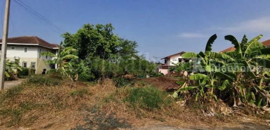 ที่ดินเปล่า 132 ตร.วา ซอยวัดลาดปลาดุก บางบัวทอง แปลงมุม