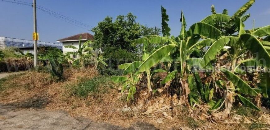 ที่ดินเปล่า 132 ตร.วา ซอยวัดลาดปลาดุก บางบัวทอง แปลงมุม