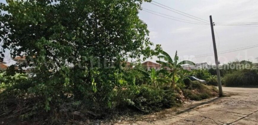 ที่ดินเปล่า 132 ตร.วา ซอยวัดลาดปลาดุก บางบัวทอง แปลงมุม