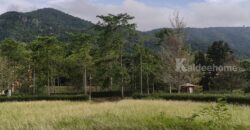ขายที่ดินเขาใหญ่ ที่ดินในโครงการทอสคานา Toscana แปลงสวย ราคาดีมาก โซนใกล้อุทยานแห่งชาติเขาใหญ่ วิวเขาสวย อากาศดีมาก เหมาะทำบ้านพักตากอากาศ หมูสี โป่งตาลอง ปากช่อง 087-9074045