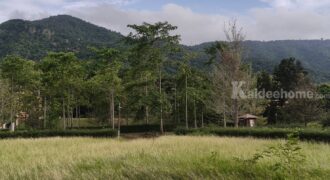 ขายที่ดินเขาใหญ่ ที่ดินในโครงการทอสคานา Toscana แปลงสวย ราคาดีมาก โซนใกล้อุทยานแห่งชาติเขาใหญ่ วิวเขาสวย อากาศดีมาก เหมาะทำบ้านพักตากอากาศ หมูสี โป่งตาลอง ปากช่อง 087-9074045