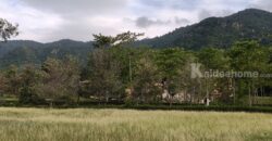 ขายที่ดินเขาใหญ่ ที่ดินในโครงการทอสคานา Toscana แปลงสวย ราคาดีมาก โซนใกล้อุทยานแห่งชาติเขาใหญ่ วิวเขาสวย อากาศดีมาก เหมาะทำบ้านพักตากอากาศ หมูสี โป่งตาลอง ปากช่อง 087-9074045