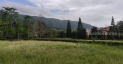 ขายที่ดินเขาใหญ่ ที่ดินในโครงการทอสคานา Toscana แปลงสวย ราคาดีมาก โซนใกล้อุทยานแห่งชาติเขาใหญ่ วิวเขาสวย อากาศดีมาก เหมาะทำบ้านพักตากอากาศ หมูสี โป่งตาลอง ปากช่อง 087-9074045