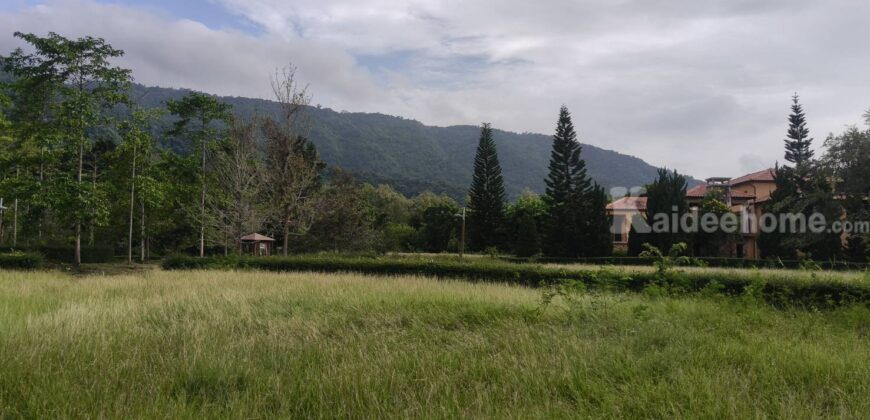 ขายที่ดินเขาใหญ่ ที่ดินในโครงการทอสคานา Toscana แปลงสวย ราคาดีมาก โซนใกล้อุทยานแห่งชาติเขาใหญ่ วิวเขาสวย อากาศดีมาก เหมาะทำบ้านพักตากอากาศ หมูสี โป่งตาลอง ปากช่อง 087-9074045