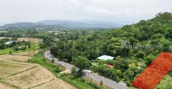 ขายที่ดินติดถนนหลวง เนื้อที่ 142 ตารางวา สาริกา นครนายก