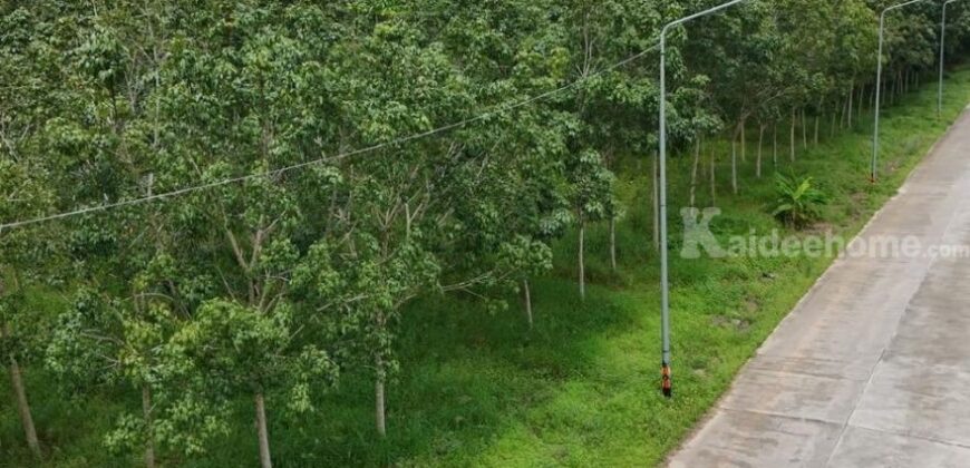 ที่ดินสวย ทำเลศักยภาพ EEC นิคมพัฒนา ระยอง 139-1-62 ไร่