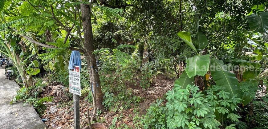 ที่ดิน 147.9 ตร.วา ซอยจรัญสนิทวงศ์ 3 (ซอยสมชาย) แปลงหัวมุม ราคาถูกมาก