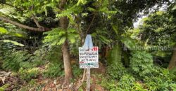 ที่ดิน 147.9 ตร.วา ซอยจรัญสนิทวงศ์ 3 (ซอยสมชาย) แปลงหัวมุม ราคาถูกมาก
