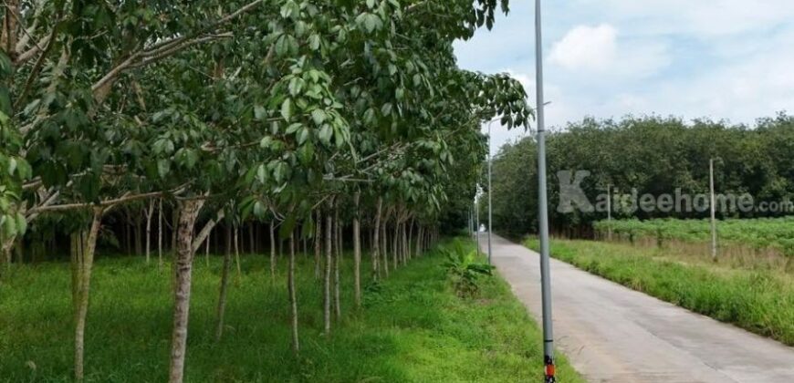 ที่ดินสวย ทำเลศักยภาพ EEC นิคมพัฒนา ระยอง 139-1-62 ไร่