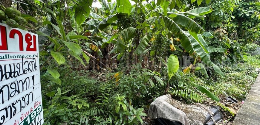 ที่ดิน 80.6 ตร.ว. ซอยจรัญสนิทวงศ์ 3 (ซอยสมชาย) ที่ริมคลอง ราคาถูกมาก