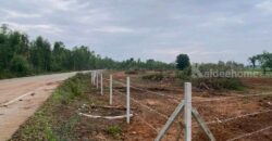 ที่ดินสวยราคาดี โนนสัง หนองบัวลำภู พื้นที่ 43-2-18 ไร่
