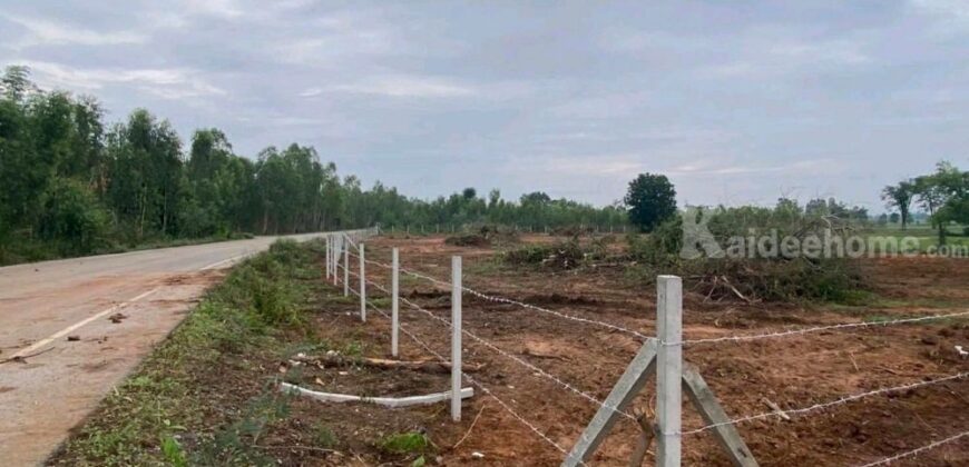 ที่ดินสวยราคาดี โนนสัง หนองบัวลำภู พื้นที่ 43-2-18 ไร่