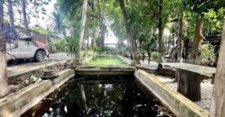 ที่ดิน 2 ไร่ พร้อมสิ่งปลูกสร้าง ไทรน้อย – นนทบุรี