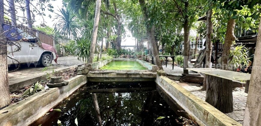 ที่ดิน 2 ไร่ พร้อมสิ่งปลูกสร้าง ไทรน้อย – นนทบุรี