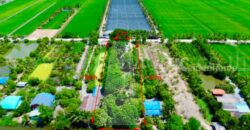 ที่ดิน 2 ไร่ พร้อมสิ่งปลูกสร้าง ไทรน้อย – นนทบุรี