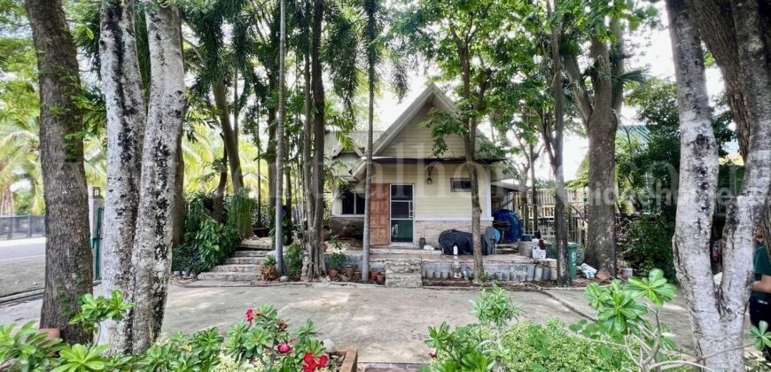 ที่ดิน 2 ไร่ พร้อมสิ่งปลูกสร้าง ไทรน้อย – นนทบุรี