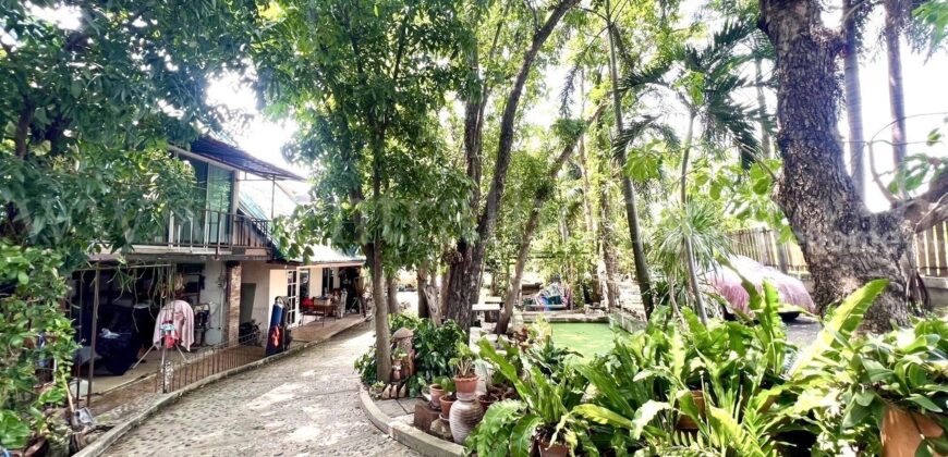 ที่ดิน 2 ไร่ พร้อมสิ่งปลูกสร้าง ไทรน้อย – นนทบุรี