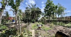 ที่ดิน 2 ไร่ พร้อมสิ่งปลูกสร้าง ไทรน้อย – นนทบุรี