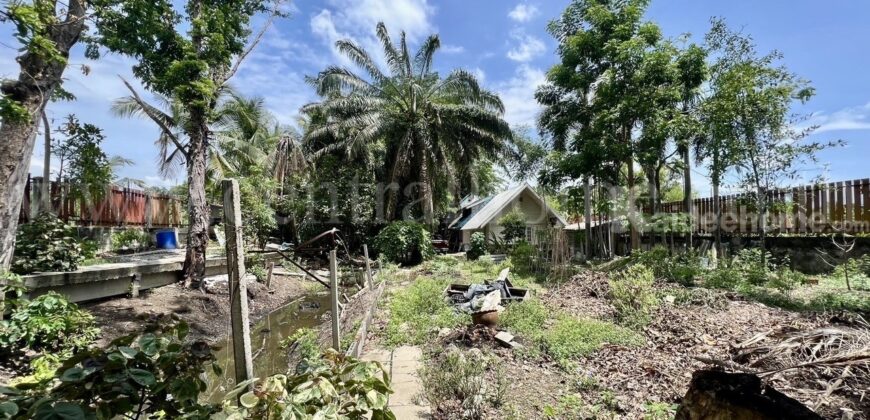 ที่ดิน 2 ไร่ พร้อมสิ่งปลูกสร้าง ไทรน้อย – นนทบุรี